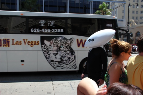 ���-��������